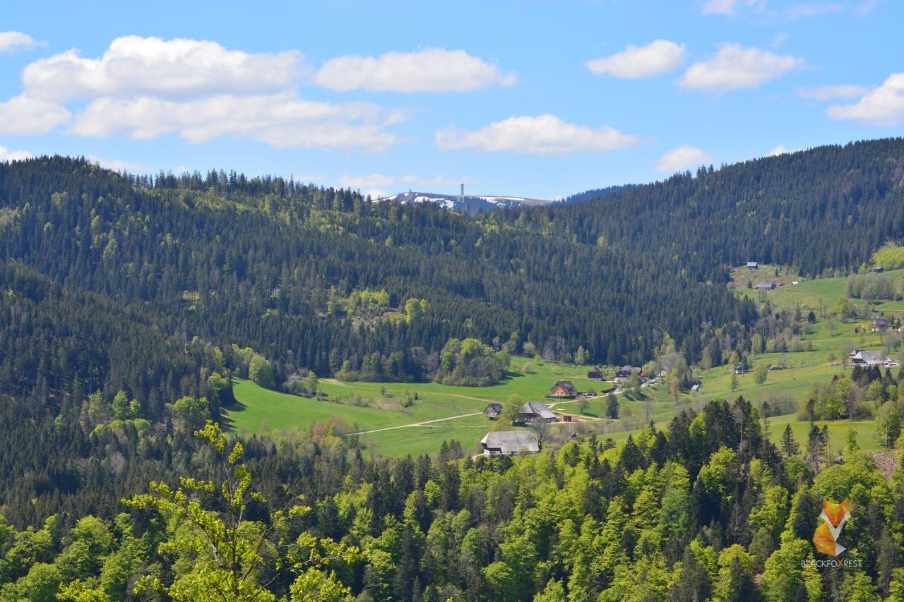 Blackfoxrest Ferienwohnung Feldberg  Bagian luar foto