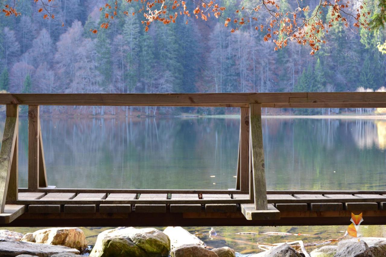 Blackfoxrest Ferienwohnung Feldberg  Bagian luar foto