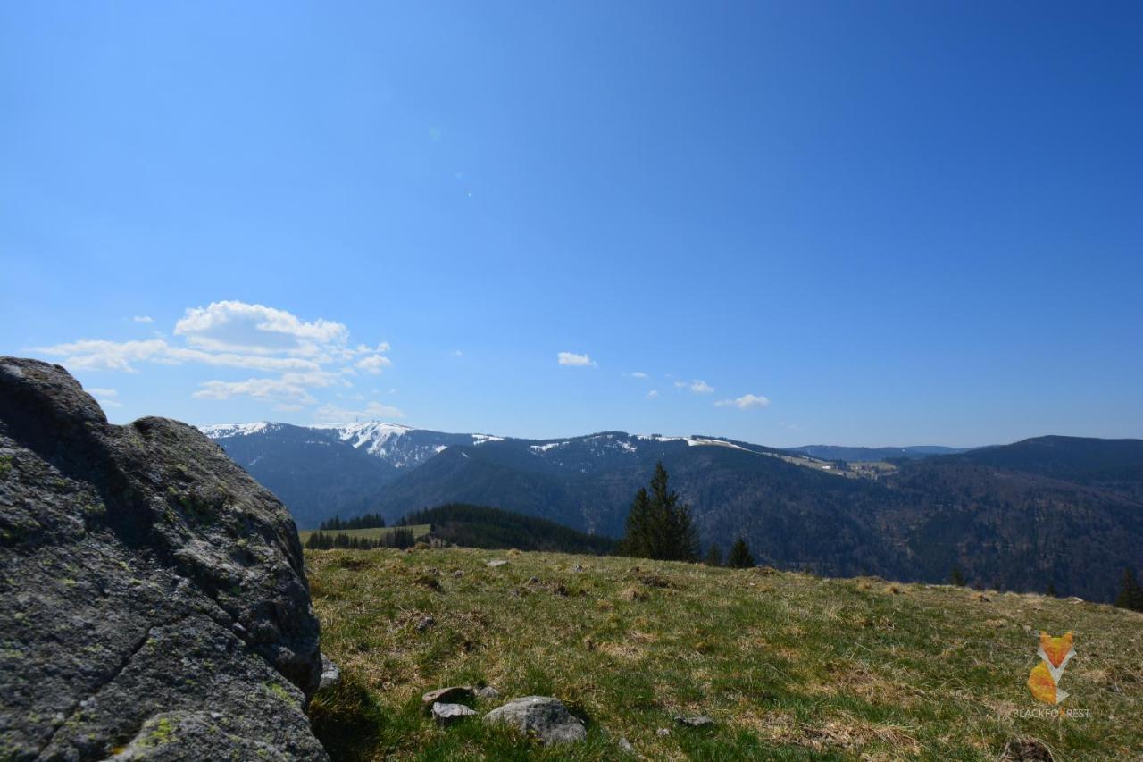 Blackfoxrest Ferienwohnung Feldberg  Bagian luar foto