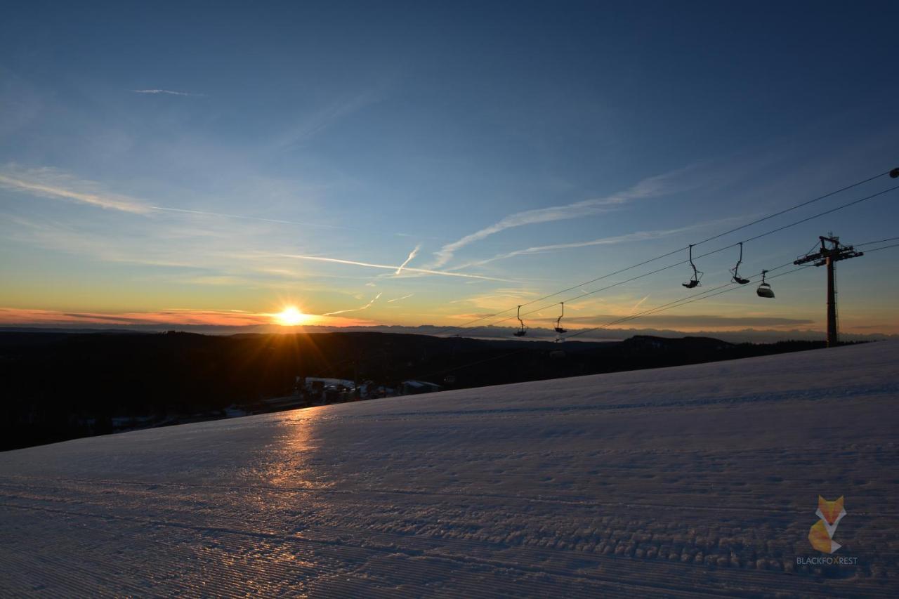 Blackfoxrest Ferienwohnung Feldberg  Bagian luar foto
