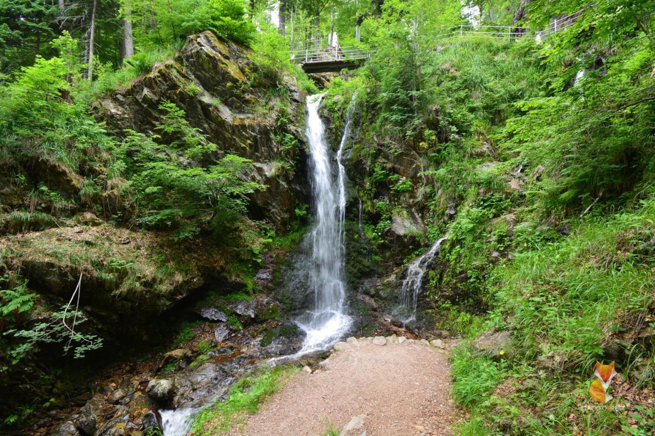 Blackfoxrest Ferienwohnung Feldberg  Bagian luar foto