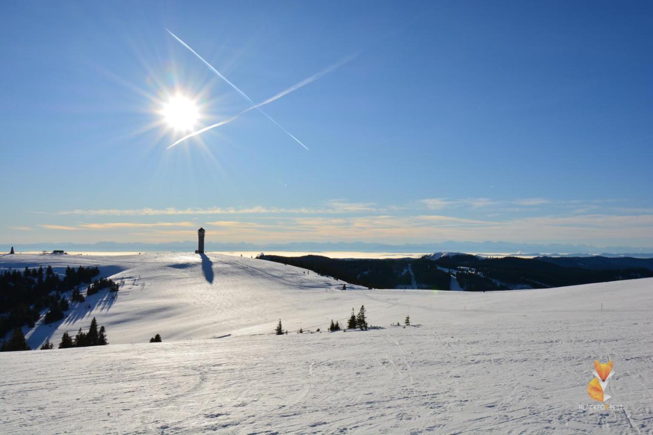 Blackfoxrest Ferienwohnung Feldberg  Bagian luar foto