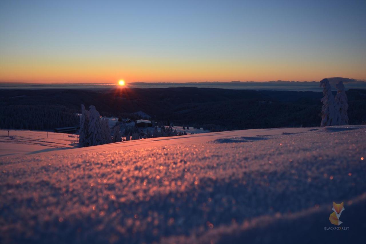 Blackfoxrest Ferienwohnung Feldberg  Bagian luar foto