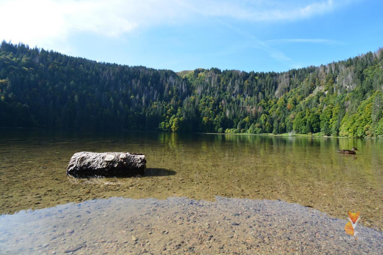 Blackfoxrest Ferienwohnung Feldberg  Bagian luar foto