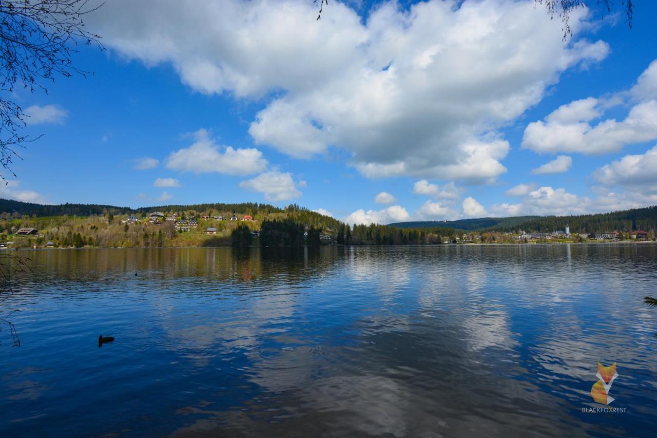 Blackfoxrest Ferienwohnung Feldberg  Bagian luar foto