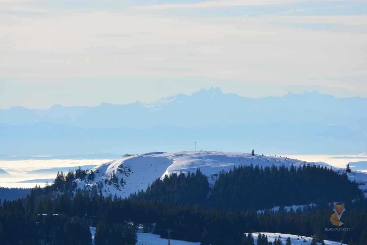 Blackfoxrest Ferienwohnung Feldberg  Bagian luar foto